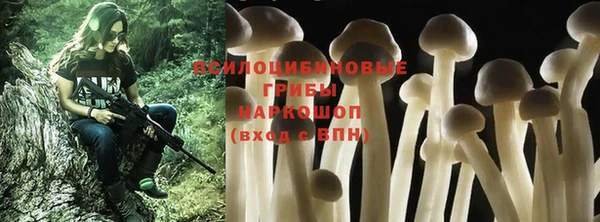 эйфоретик Абинск